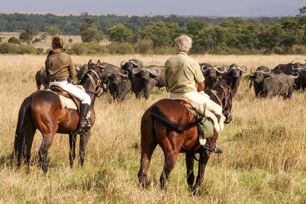 Safari à cheval au Kenya