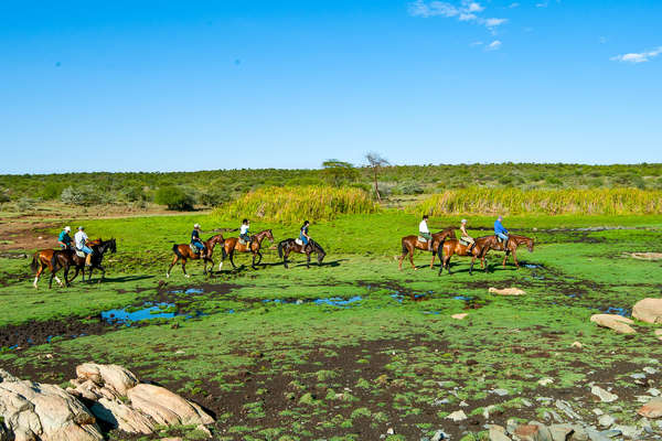 Safari à cheval au Kenya