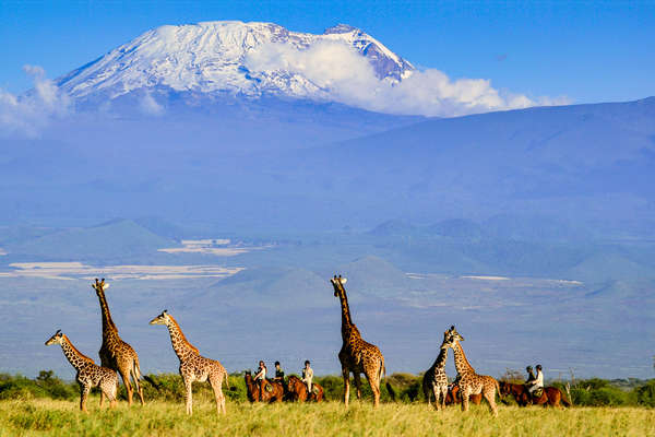 Safari à cheval au pied du Kili