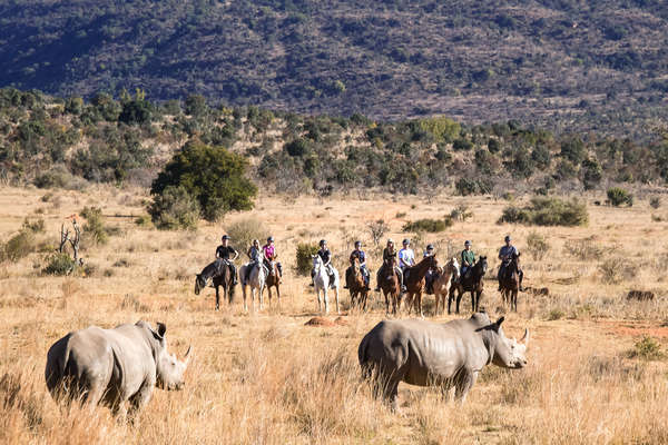 Safari à cheval dans le Waterberg