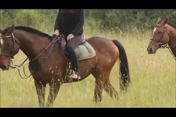 Safari à cheval dans une réserve privée au Kenya 