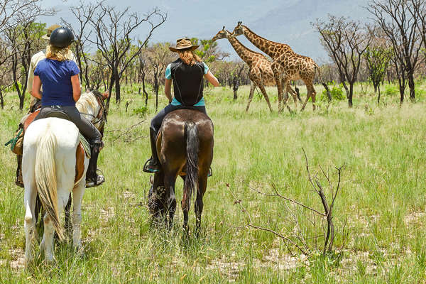 Safari à cheval en Afrique du Sud