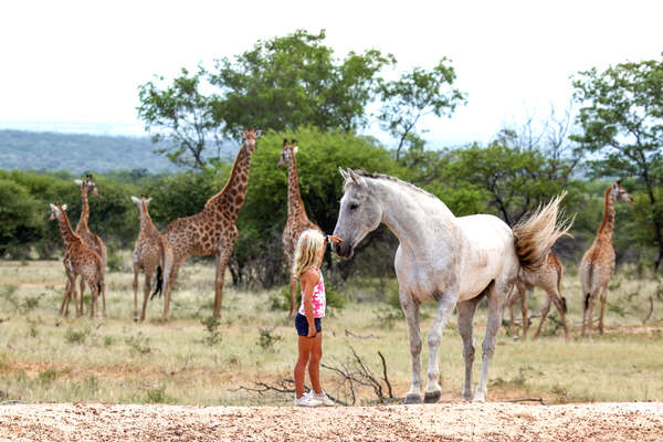 Safari à cheval familial en Afrique du Sud