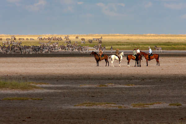 Safari à cheval sur les pans au Botswana