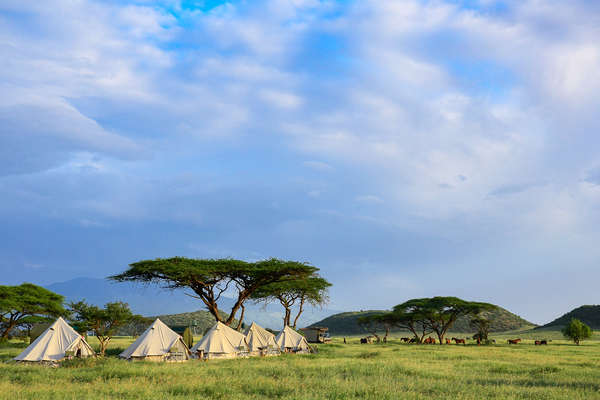 Safari au lac Natron en Tanzanie