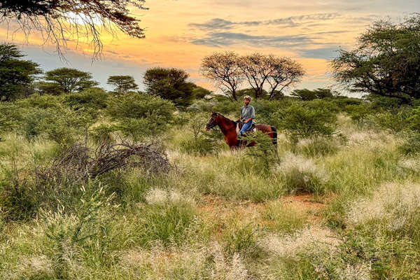 Safari équestre et découverte de la Namibie