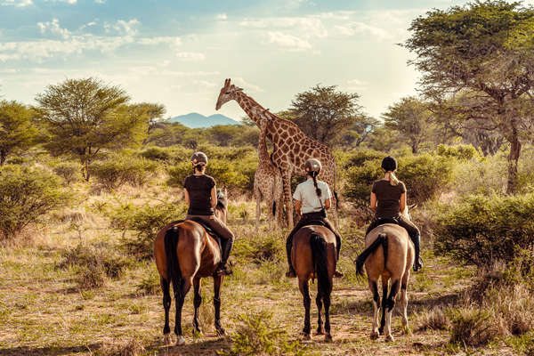 Safari équestre et découverte de la Namibie