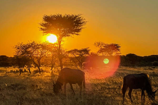 Safari équestre et découverte de la Namibie