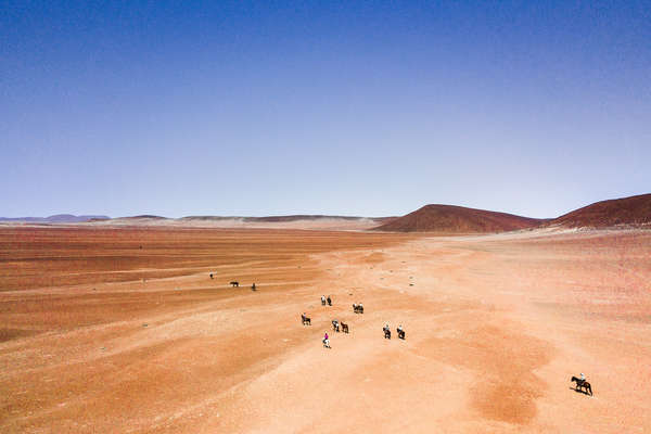 Safari en Namibie à cheval