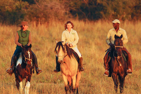 Safari équestre au Zimbabwe