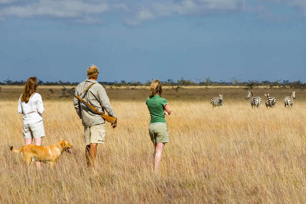 Safari pédestre au Kenya