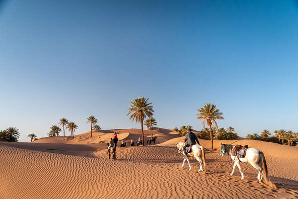 Sahara marocain à cheval