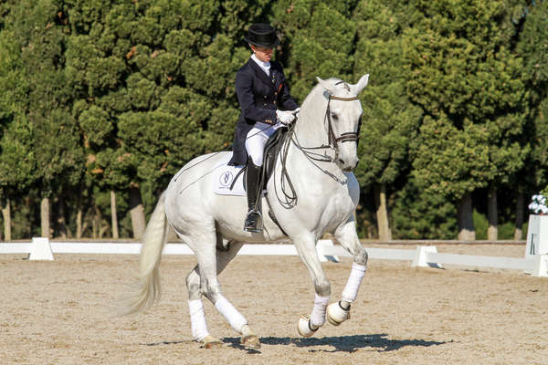 Séance de dressage au Portugal