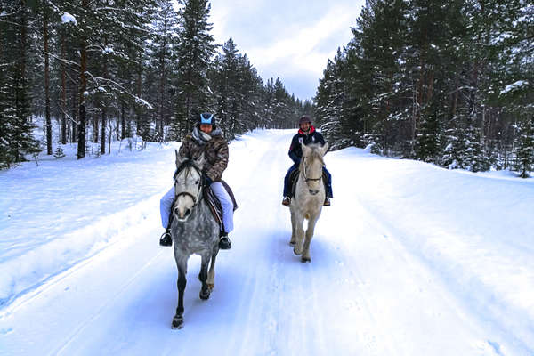 Séjour à cheval en Laponie