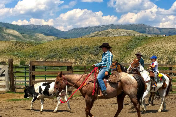 Séjour chez les cowboys du Sud de Yellowstone