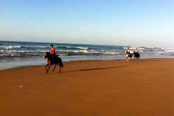 Stage d'endurance équestre au Maroc