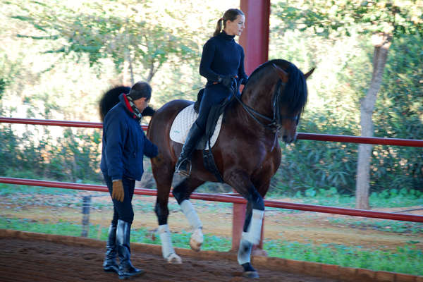 Cours dressage équestre, Espagne