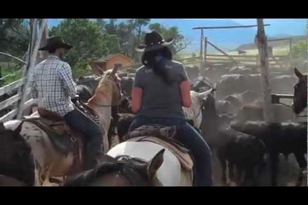 Séjour en ranch de travail au Montana avec Cheval d'Aventure