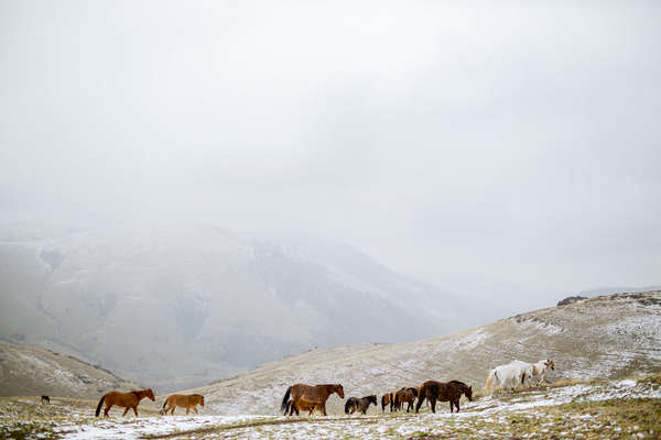 Séjour en ranch en hiver
