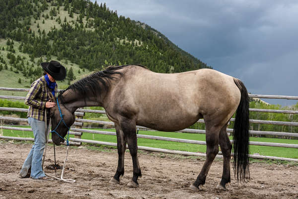 Séjour équestre dans le Montana