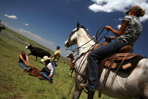 Montana à cheval