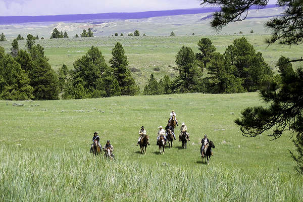 Séjour à cheval Wyoming