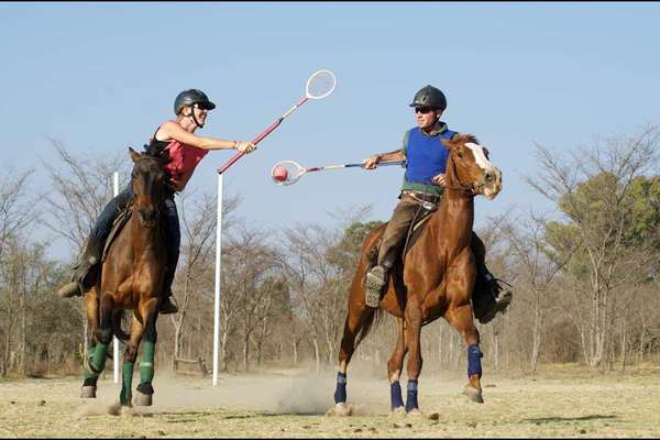 jeux à cheval en afrique du sud