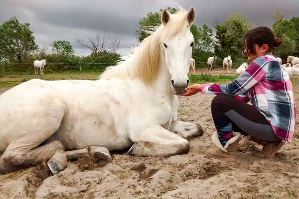 Séjour équestre en Camargue