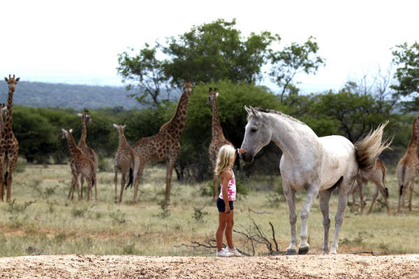 A cheval en Afrique du Sud