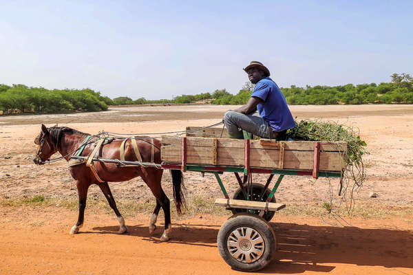 Sénégal à cheval