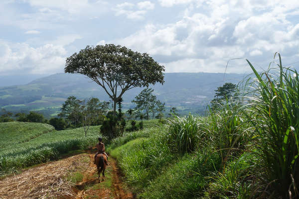 Sentier équestre dans la campagne du Costa Rica