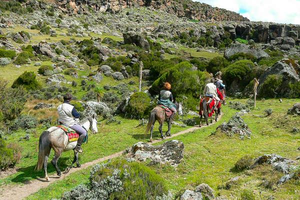 Sentier équestre en Ethiopie