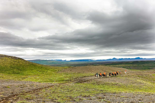 Sentiers de l'Islande à cheval