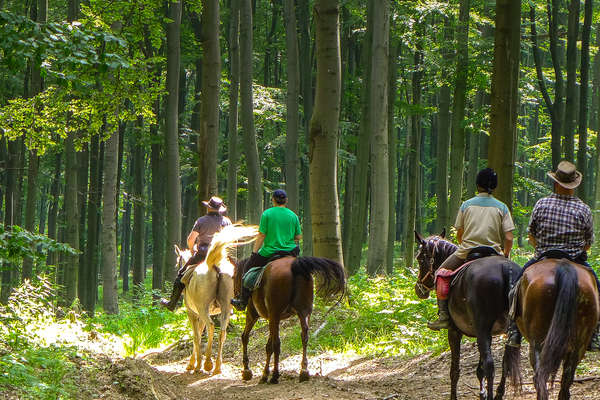 Sentiers de Pologne à cheval