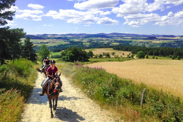 Sous le soleil à cheval