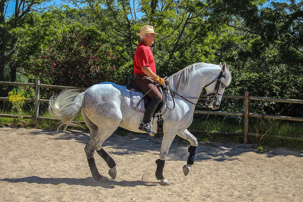 Stage de dressage au Portugal