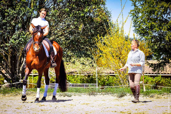 Stage de dressage en Provence