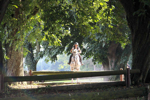 stage de chevaux pour jeunes en irlande