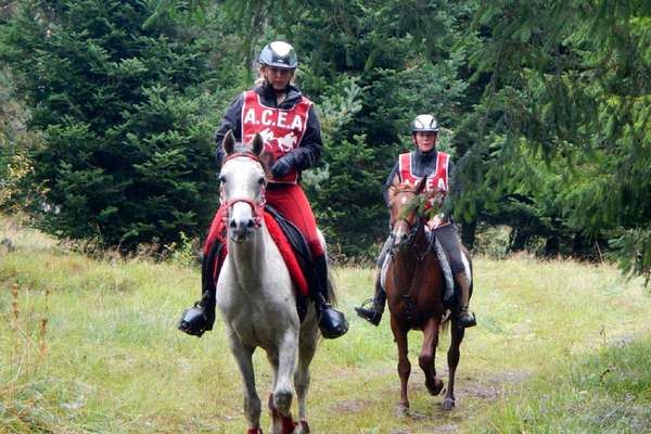 Course et stage endurance cantal