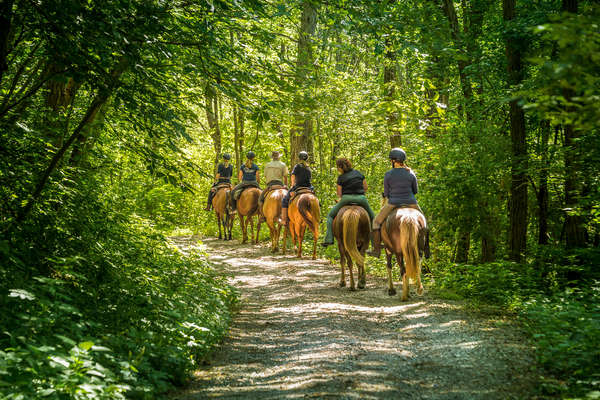 Sur les chemins de Slovénie à cheval
