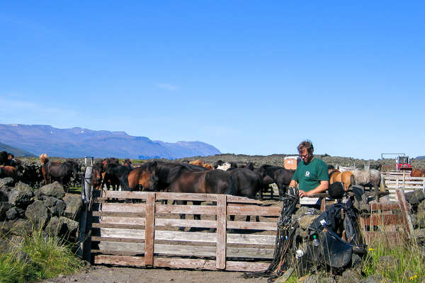 Sur les chemins du Nord de l'Islande