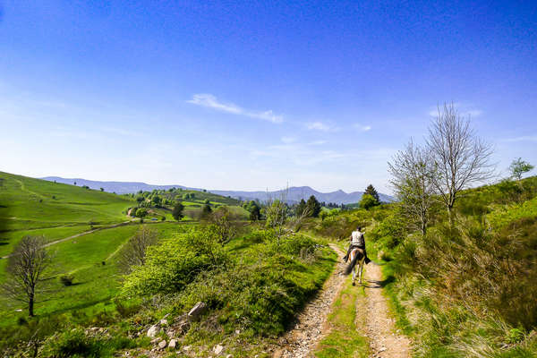 Sur les pistes alsaciennes