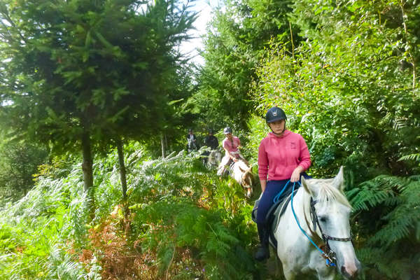 Sur les traces de Dartagnan en Bourgogne