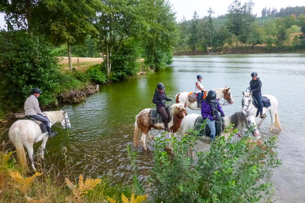 Sur les traces de Dartagnan en Bourgogne