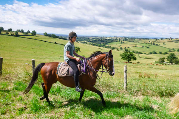 Sur les traces de Dartagnan en Bourgogne