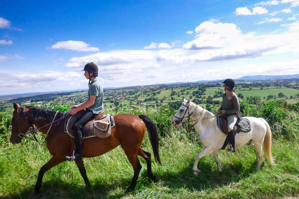 Sur les traces de Dartagnan en Bourgogne