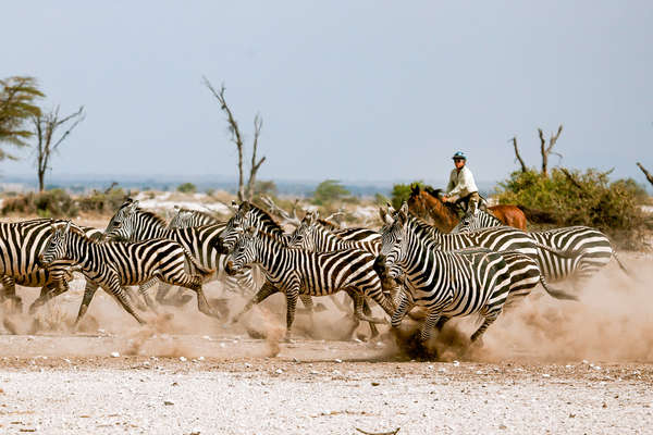 Tanzanie à cheval