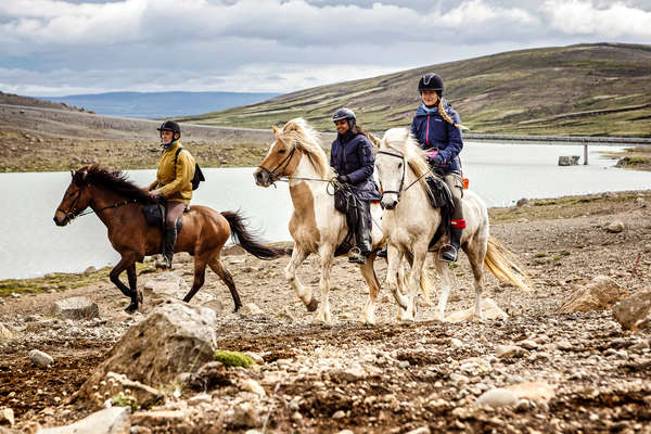 Tölt en Islande