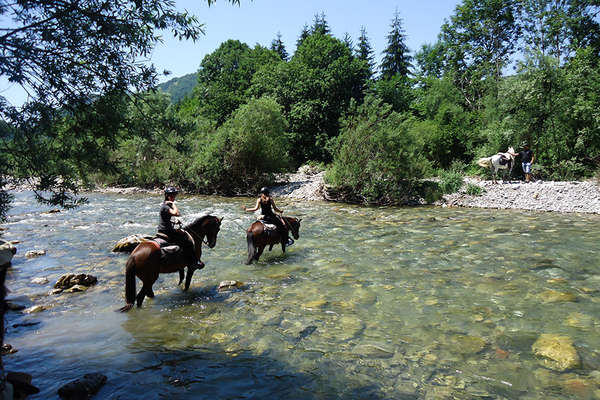 Rivière à cheval au Monténégro