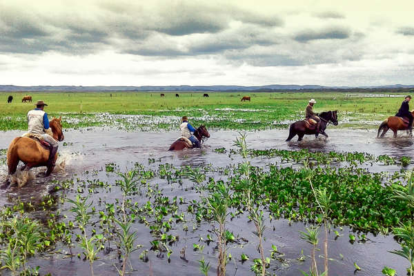 Traversée à cheval de marais en Uruguay
